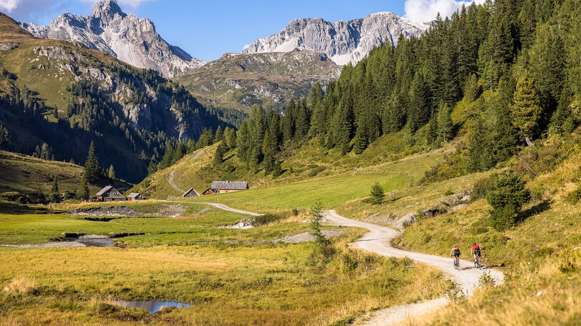 Zwei Radfahrer auf Bergweg mit Alpen, Wiesen und Tannen im Hintergrund
