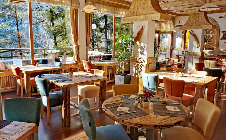 Bright rustic restaurant with wooden tables and colorful chairs overlooking trees