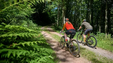 Zwei Radfahrer fahren auf einem Waldweg durch grünen Wald