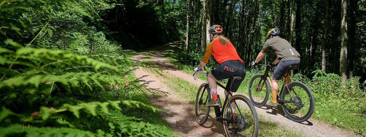 Zwei Radfahrer fahren auf einem Waldweg durch grünen Wald