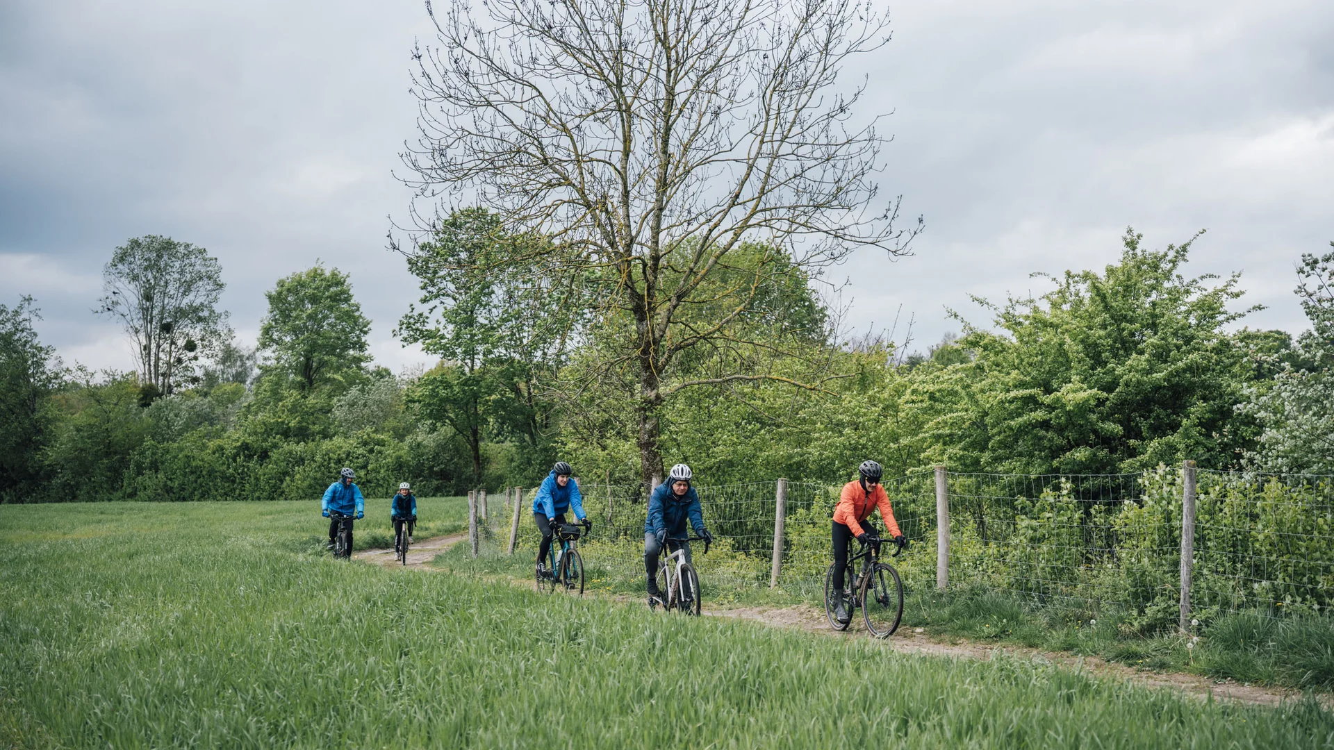 5 Tipps fürs Graveln in Oberbayern © Julian Rohn Fünf Radfahrer fahren auf einem schmalen Waldweg entlang einer grünen Wiese