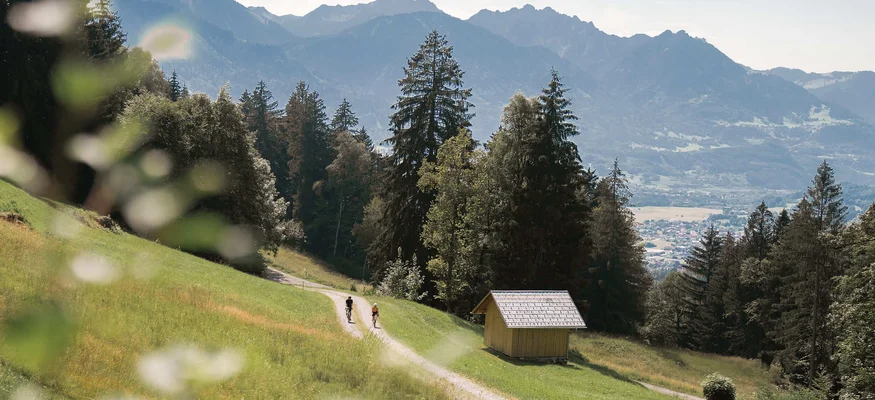 Two cyclists on forest path with mountains in the background
