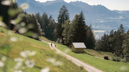 Zwei Radfahrer auf Waldweg mit Bergen im Hintergrund