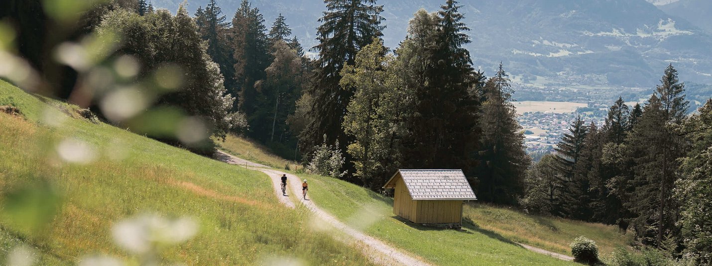 Two cyclists on forest path with mountains in the background