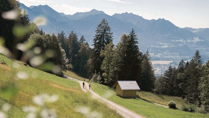 Two cyclists on forest path with mountains in the background