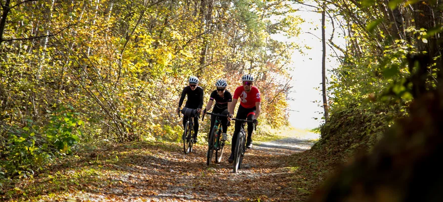 Three cyclists riding on a tree-lined forest path in autumn
