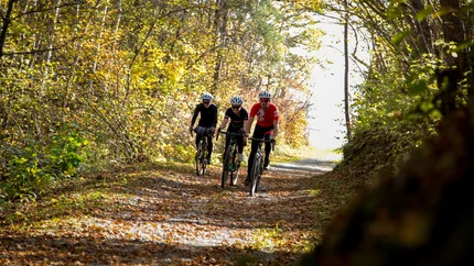 Three cyclists riding on a tree-lined forest path in autumn