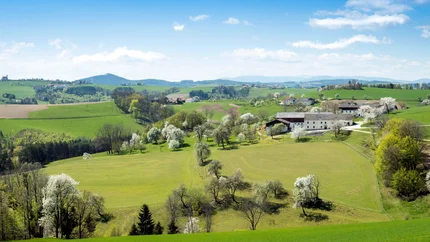 Green rolling hills with farmhouses and blooming trees under a blue sky