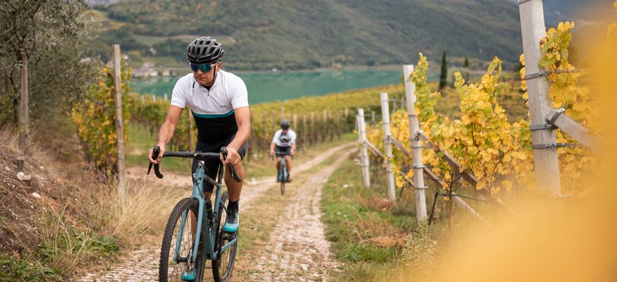 Radfahrer fahren auf einem Feldweg zwischen Weinreben mit Bergen im Hintergrund