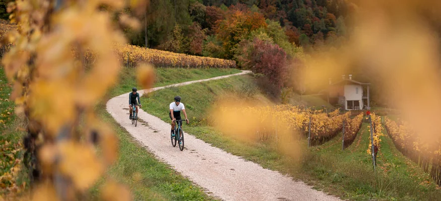 Genuss & Gravel in Tramin © Patrick Schwienbacher Zwei Radfahrer auf einem schmalen Weg durch herbstliche Weinberge