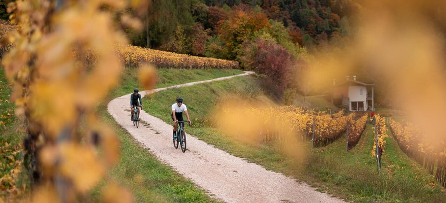 Zwei Radfahrer auf einem schmalen Weg durch herbstliche Weinberge
