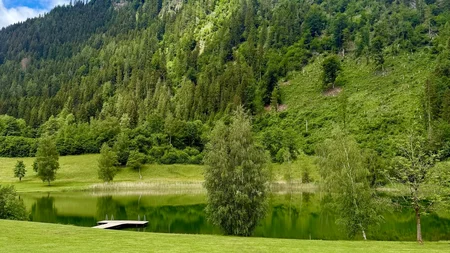 Grüne Wiese mit kleinem Steg am See vor bewaldetem Hügel und blauem Himmel