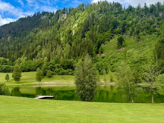 Grüne Wiese mit kleinem Steg am See vor bewaldetem Hügel und blauem Himmel